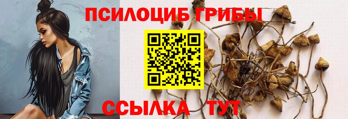 Донской  где найти наркотики  Вход с VPN  Псилоцибиновые грибы Psilocybine cubensis 