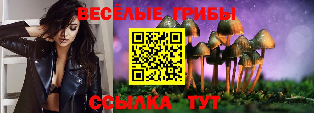 Галлюциногенные грибы прущие грибы Донской